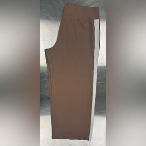 Athleta Venice Colorblock Wide Leg Pant in Rustic Beige/Magnolia White Size 2X